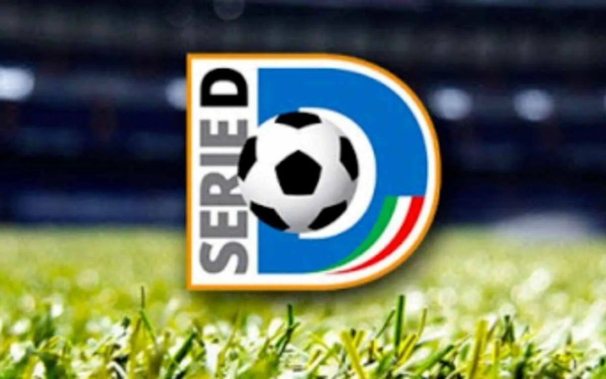 Serie D 2026/27 - La crisi dei professionisti condizione molto: lo scenario